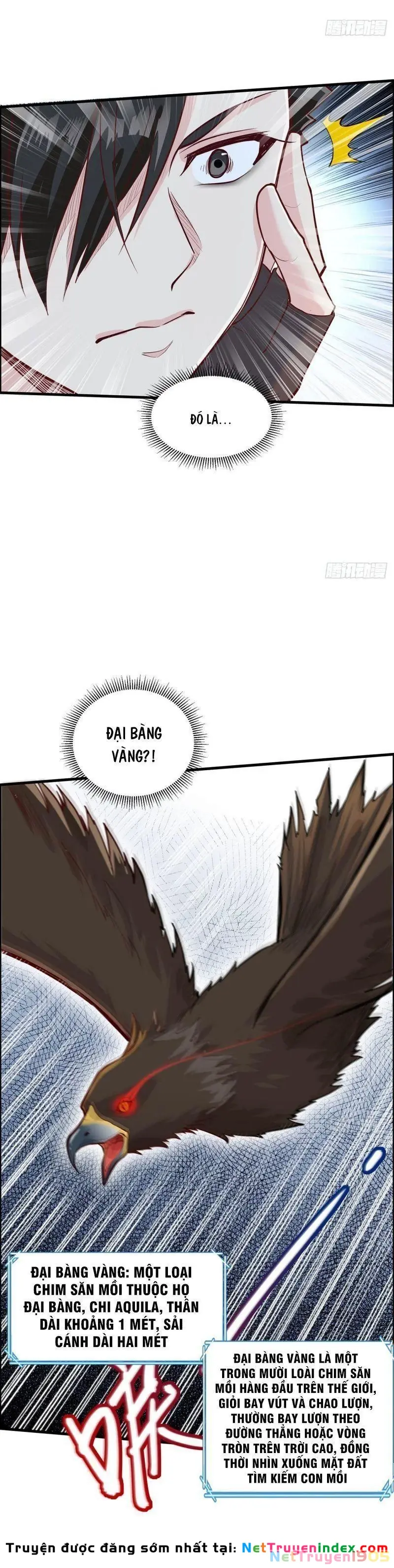 Sống Trên Hoang đảo Cùng Các Em Gái Chapter 46 - Trang 16