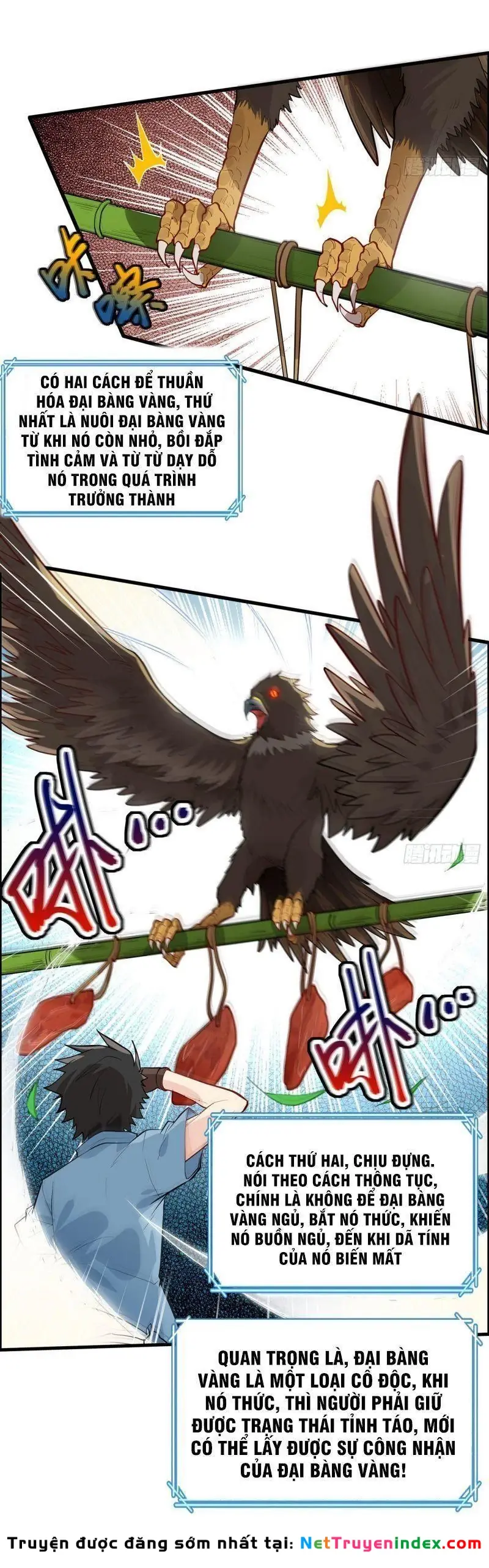 Sống Trên Hoang đảo Cùng Các Em Gái Chapter 46 - Trang 18