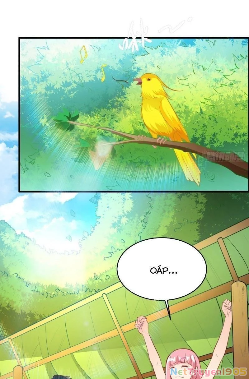 Sống Trên Hoang đảo Cùng Các Em Gái Chapter 7 - Trang 20