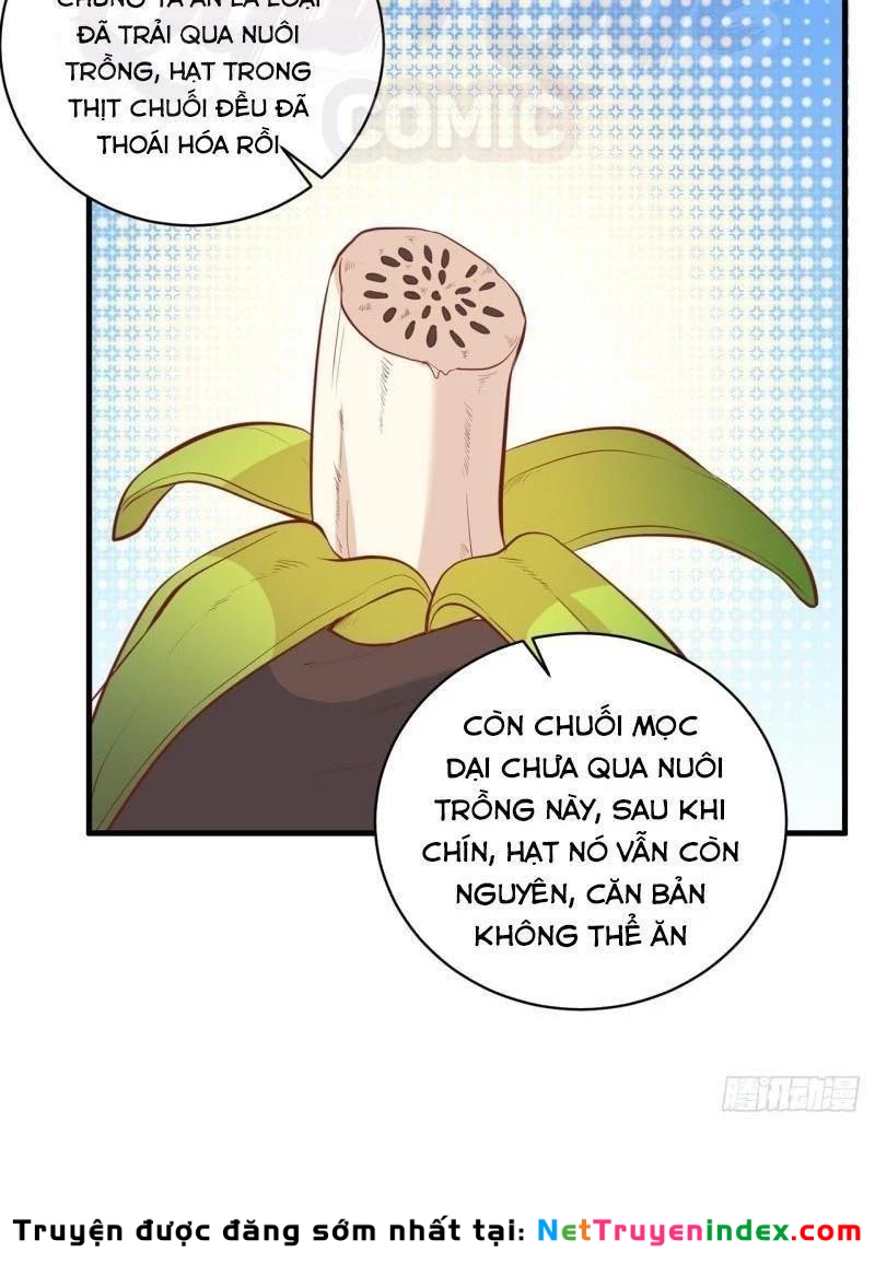 Sống Trên Hoang đảo Cùng Các Em Gái Chapter 8 - Trang 15