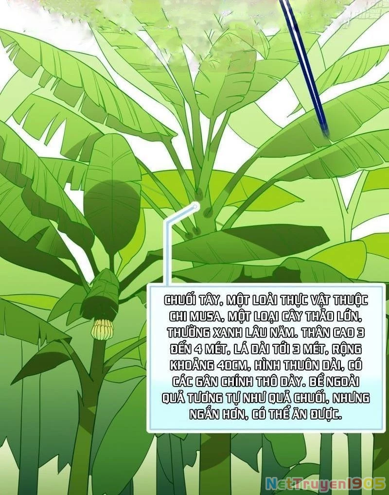 Sống Trên Hoang đảo Cùng Các Em Gái Chapter 8 - Trang 3