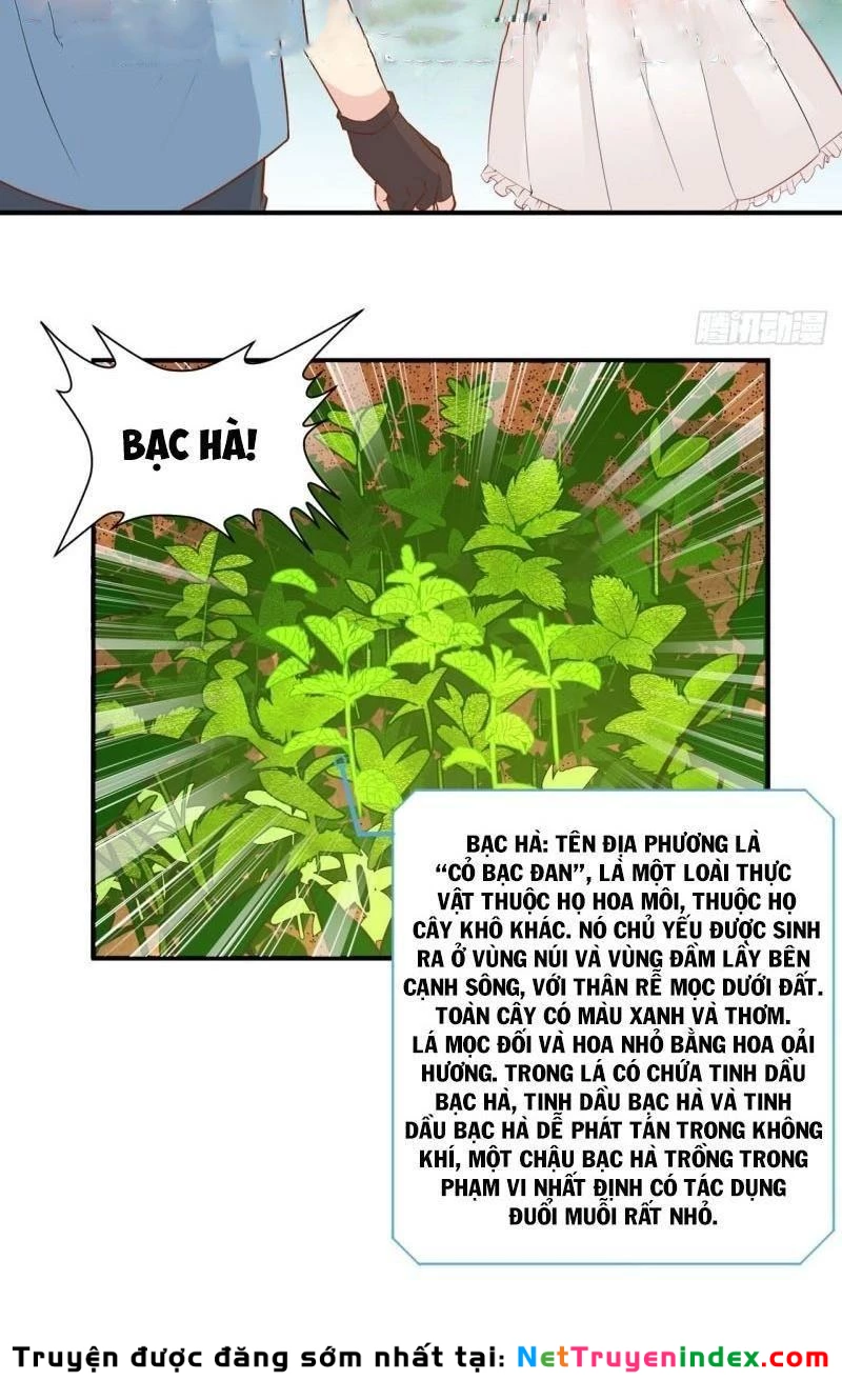 Sống Trên Hoang đảo Cùng Các Em Gái Chapter 9 - Trang 7