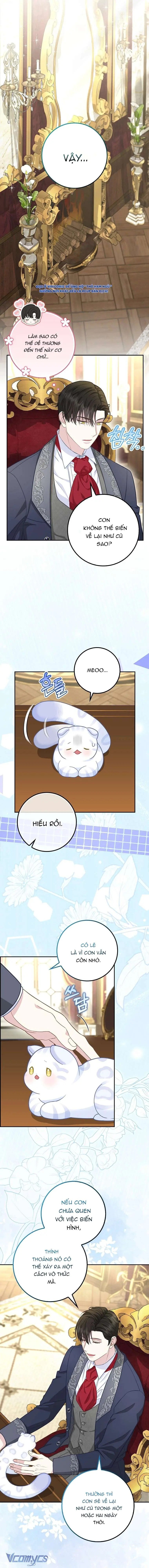 [ SS2 ] Bé Con Báo Tuyết Của Gia Tộc Báo Đen Chapter 21 - Trang 11