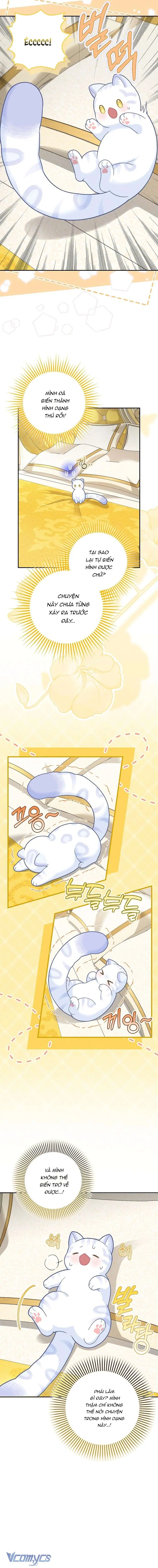 [ SS2 ] Bé Con Báo Tuyết Của Gia Tộc Báo Đen Chapter 21 - Trang 7