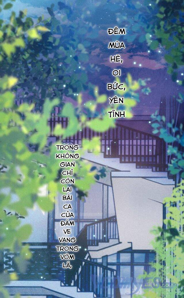 Sự Gai Góc Dịu Dàng Chapter 3 - Trang 43