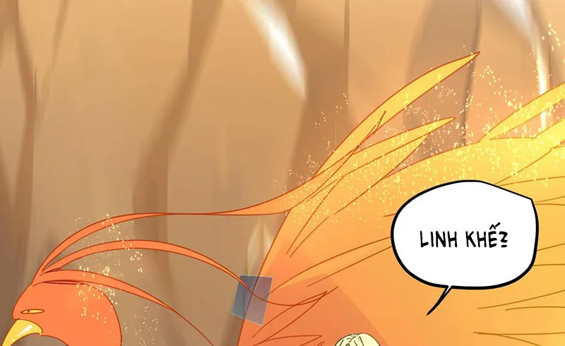Sư Phụ Lại Muốn Giết Tôi!? Chapter 2 - Trang 24
