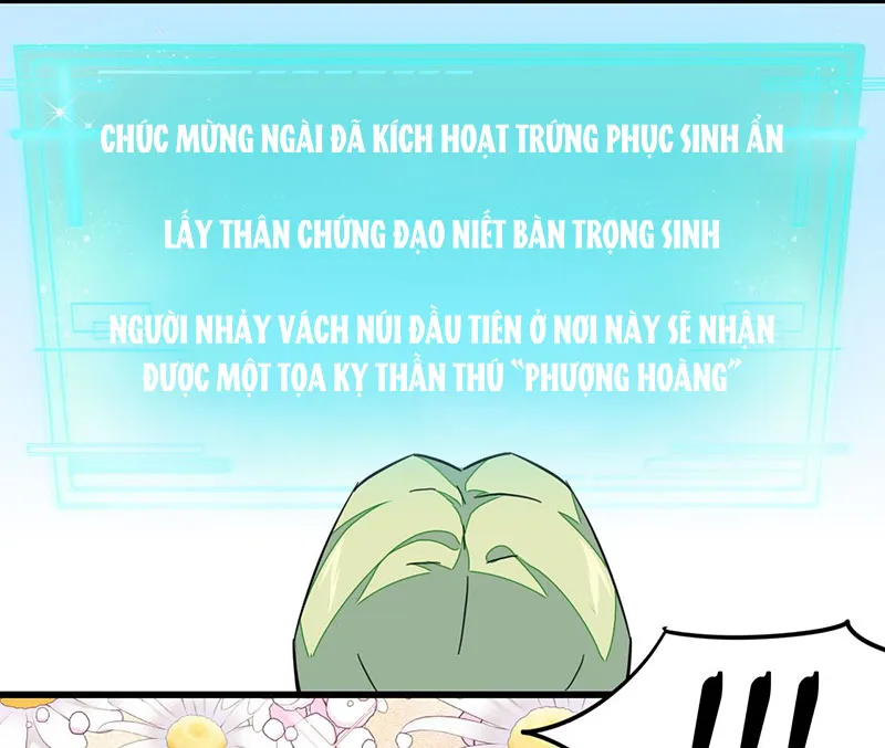 Sư Phụ Lại Muốn Giết Tôi!? Chapter 2 - Trang 27