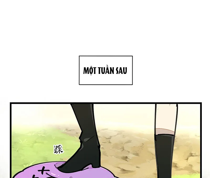 Sư Phụ Lại Muốn Giết Tôi!? Chapter 4 - Trang 2