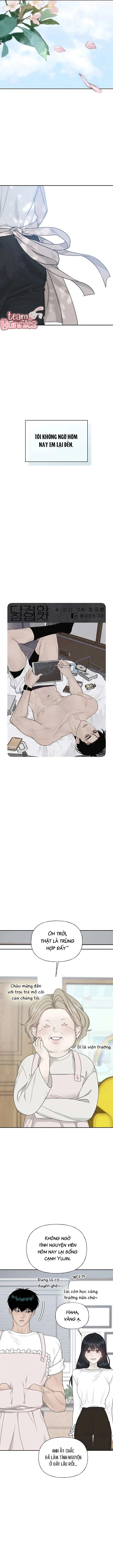 Sự Thâm Nhập Dịu Dàng Chapter 28 - Trang 6
