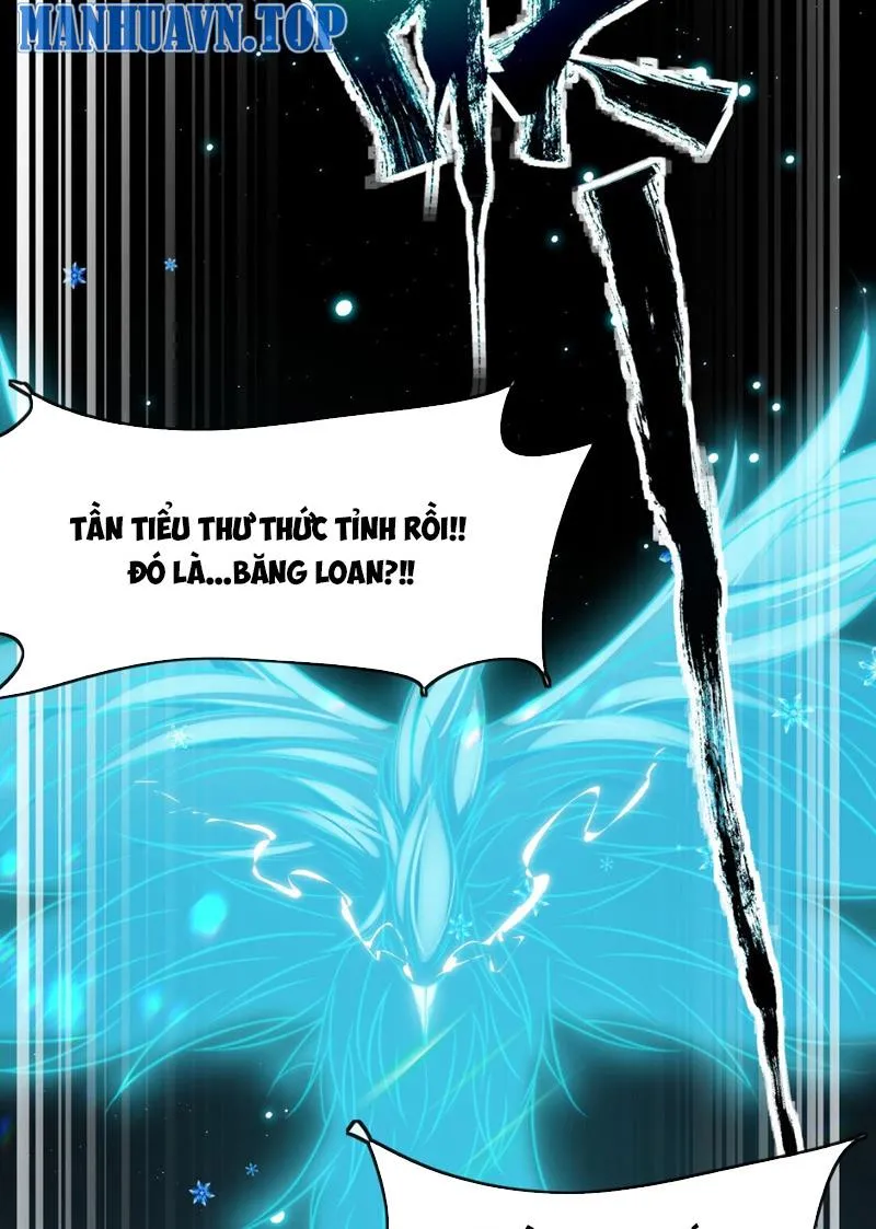 Sử Thượng Tối Cường Tỷ Phu Chapter 1 - Trang 47