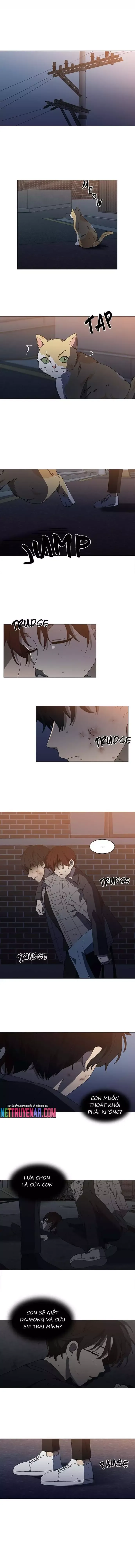 Sư Tôn Mỹ Nhân Bệnh Độc Chiếm Chapter 101 - Trang 9
