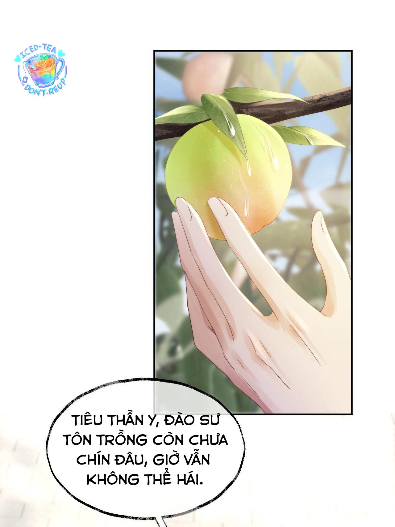 Sư Tôn Mỹ Nhân Bệnh Độc Chiếm Chapter 13 - Trang 3