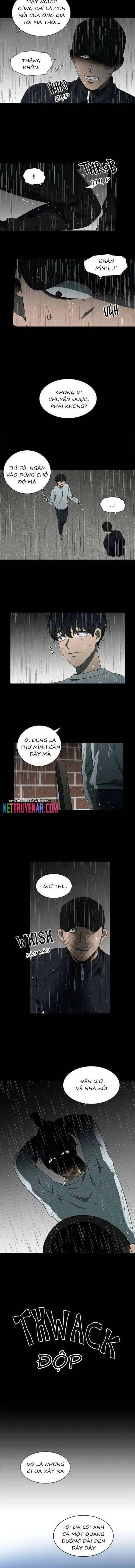 Sư Tôn Mỹ Nhân Bệnh Độc Chiếm Chapter 140 - Trang 7