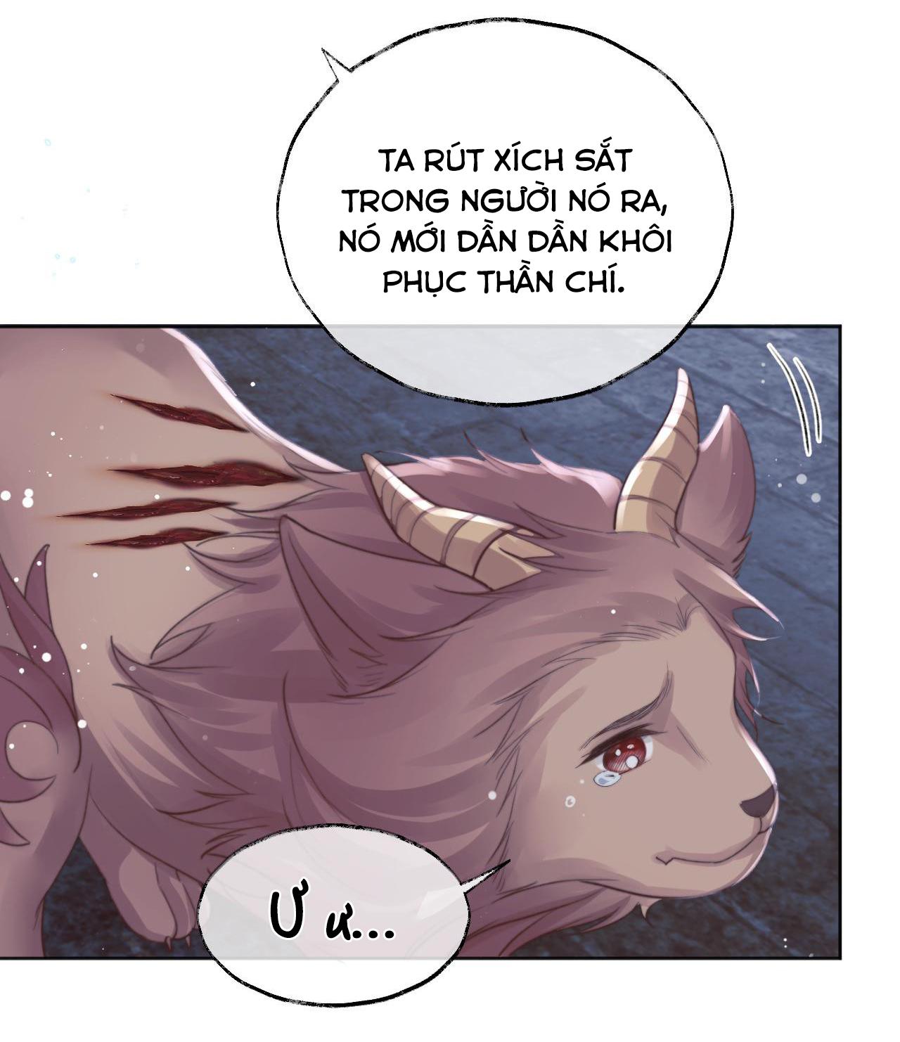 Sư Tôn Mỹ Nhân Bệnh Độc Chiếm Chapter 41 - Trang 7