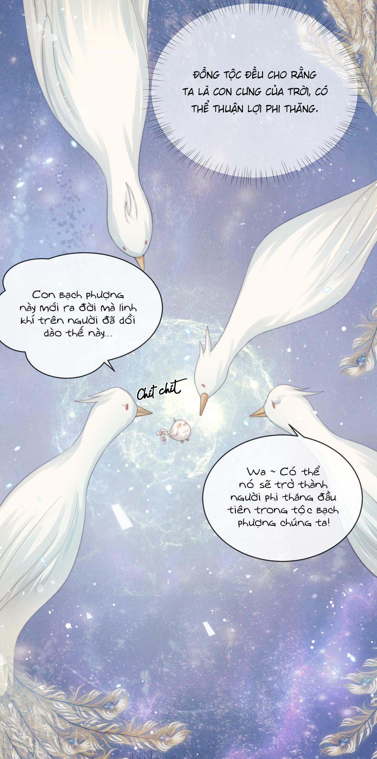 Sư Tôn Mỹ Nhân Bệnh Độc Chiếm Chapter 51 - Trang 31