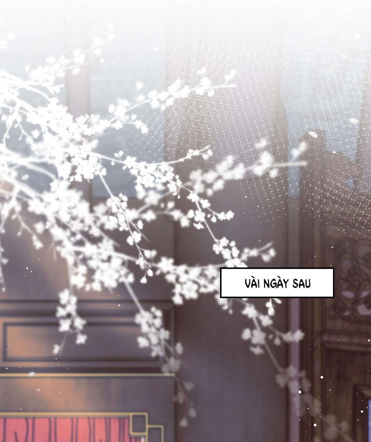 Sư Tôn Mỹ Nhân Bệnh Độc Chiếm Chapter 54 - Trang 36