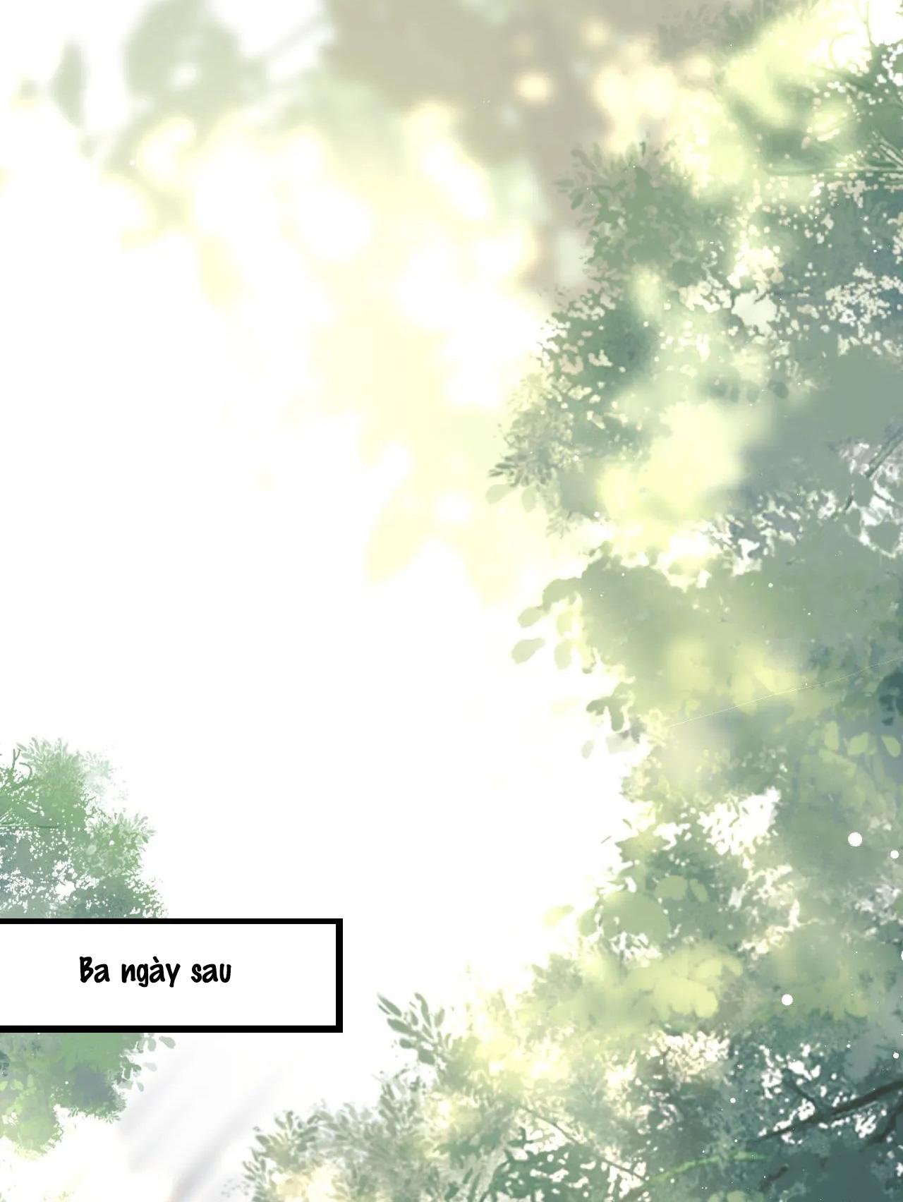 Sư Tôn Mỹ Nhân Bệnh Độc Chiếm Chapter 77 - Trang 32