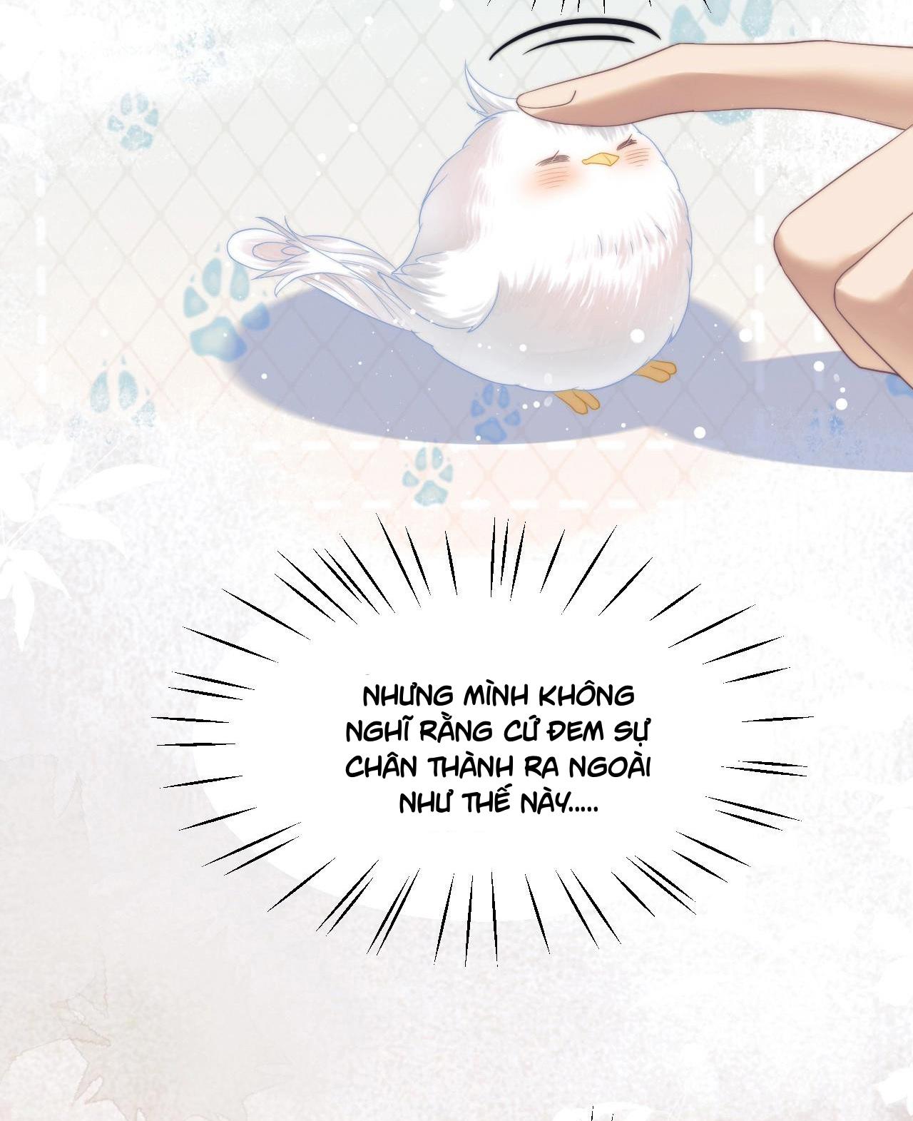Sư Tôn Mỹ Nhân Bệnh Độc Chiếm Chapter 8 - Trang 4