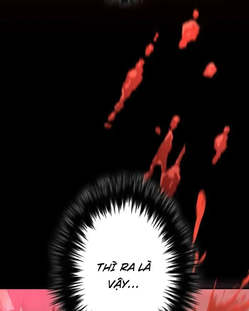 Sự Trở Lại Của Kiếm Sĩ Bóng Đêm Chapter 1 - Trang 17