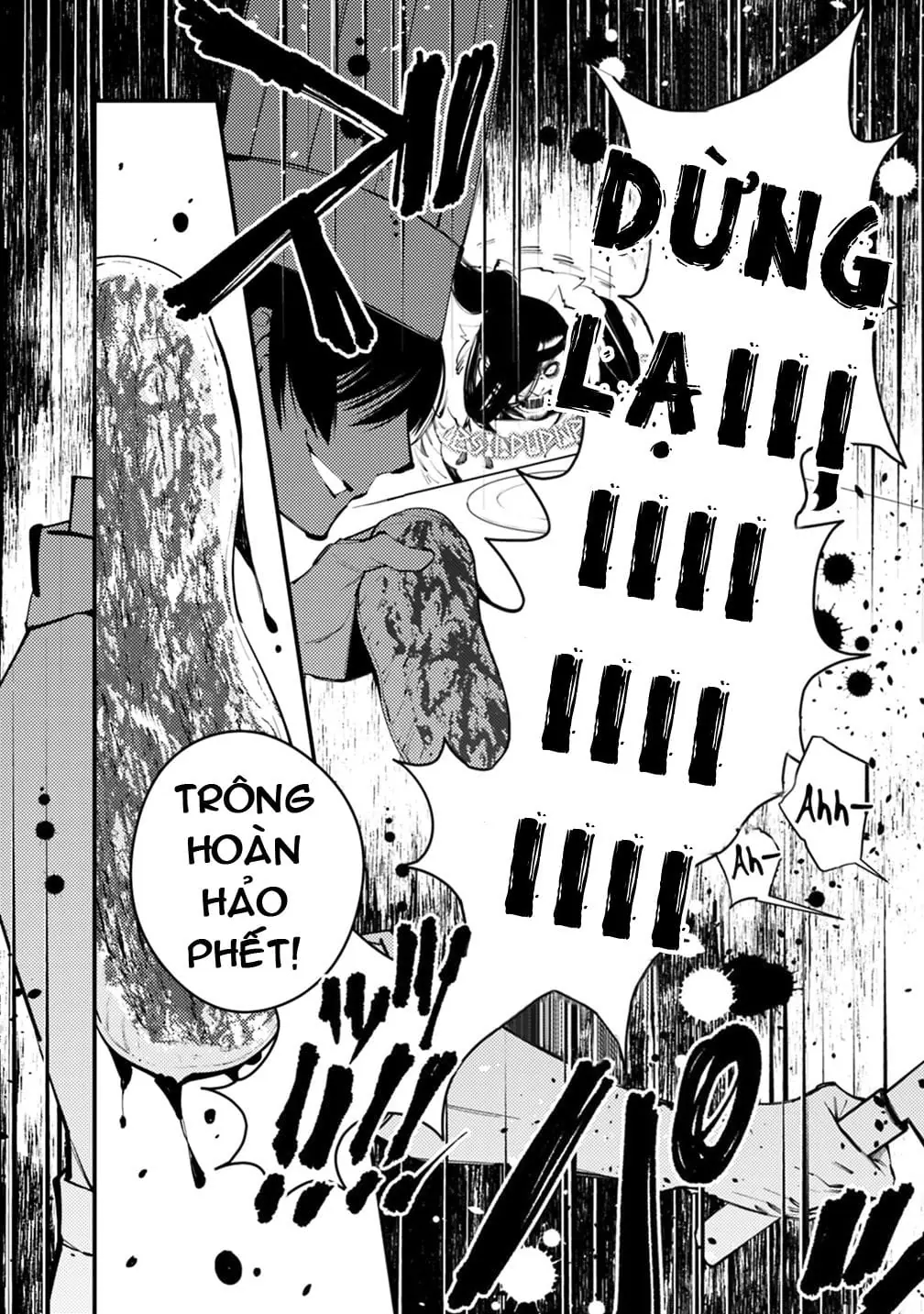 Sự Trỗi Dậy Của Anh Hùng Hắc Ám Chapter 11 - Trang 12