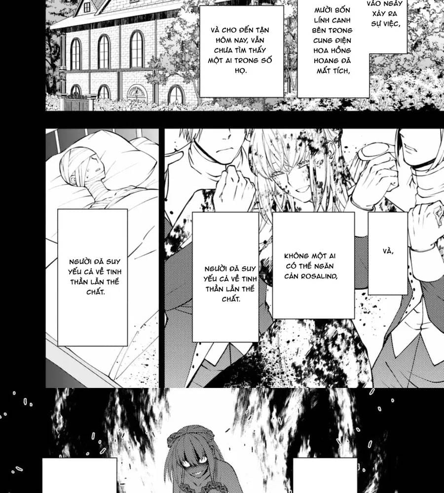 Sự Trỗi Dậy Của Anh Hùng Hắc Ám Chapter 132 - Trang 14
