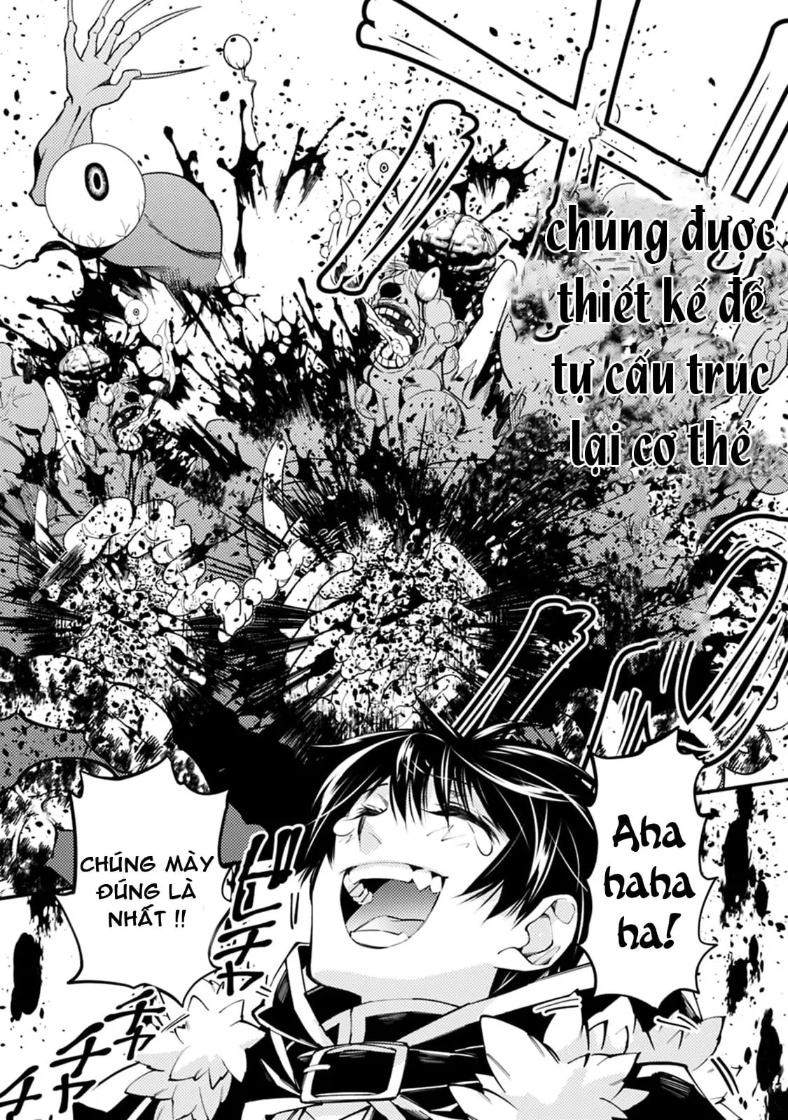 Sự Trỗi Dậy Của Anh Hùng Hắc Ám Chapter 15 - Trang 13