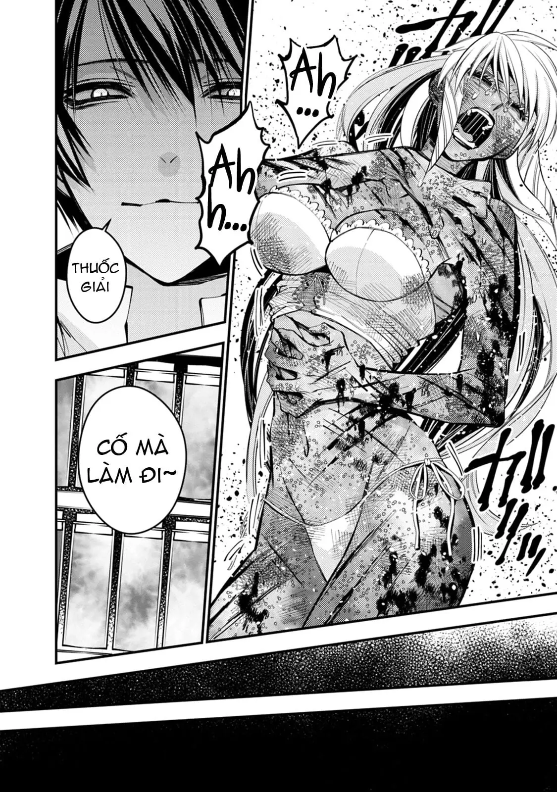 Sự Trỗi Dậy Của Anh Hùng Hắc Ám Chapter 19 - Trang 14