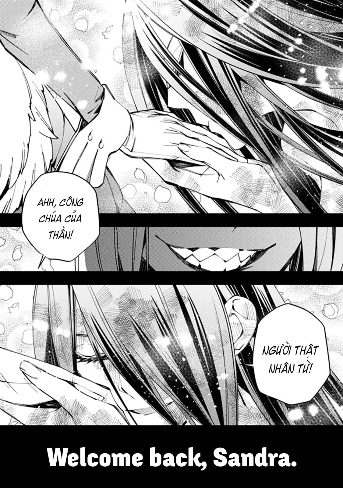 Sự Trỗi Dậy Của Anh Hùng Hắc Ám Chapter 26 - Trang 13