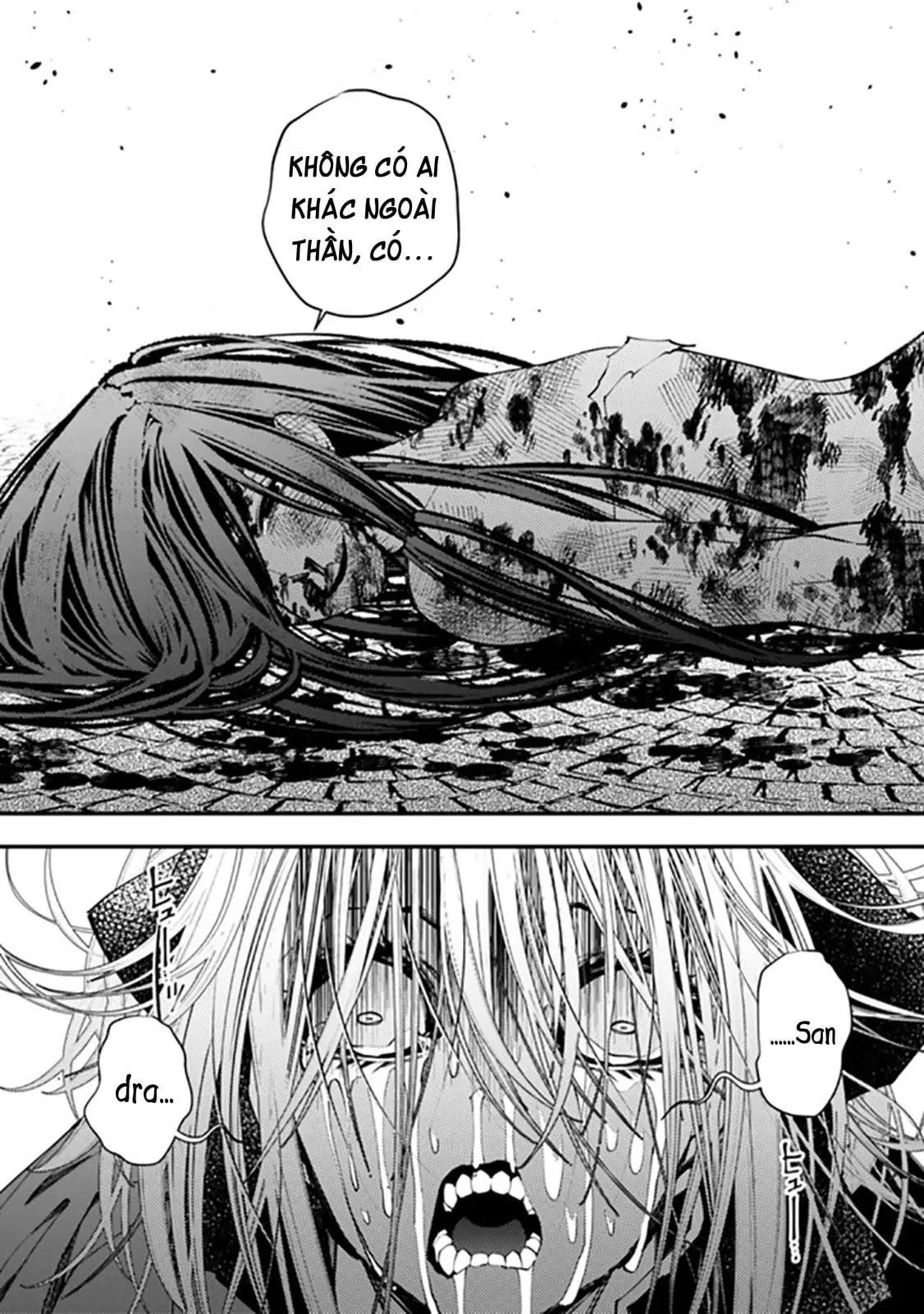 Sự Trỗi Dậy Của Anh Hùng Hắc Ám Chapter 31 - Trang 13