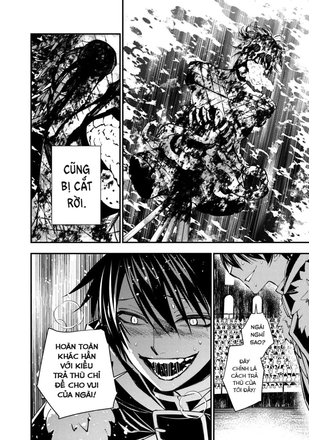 Sự Trỗi Dậy Của Anh Hùng Hắc Ám Chapter 46 - Trang 11