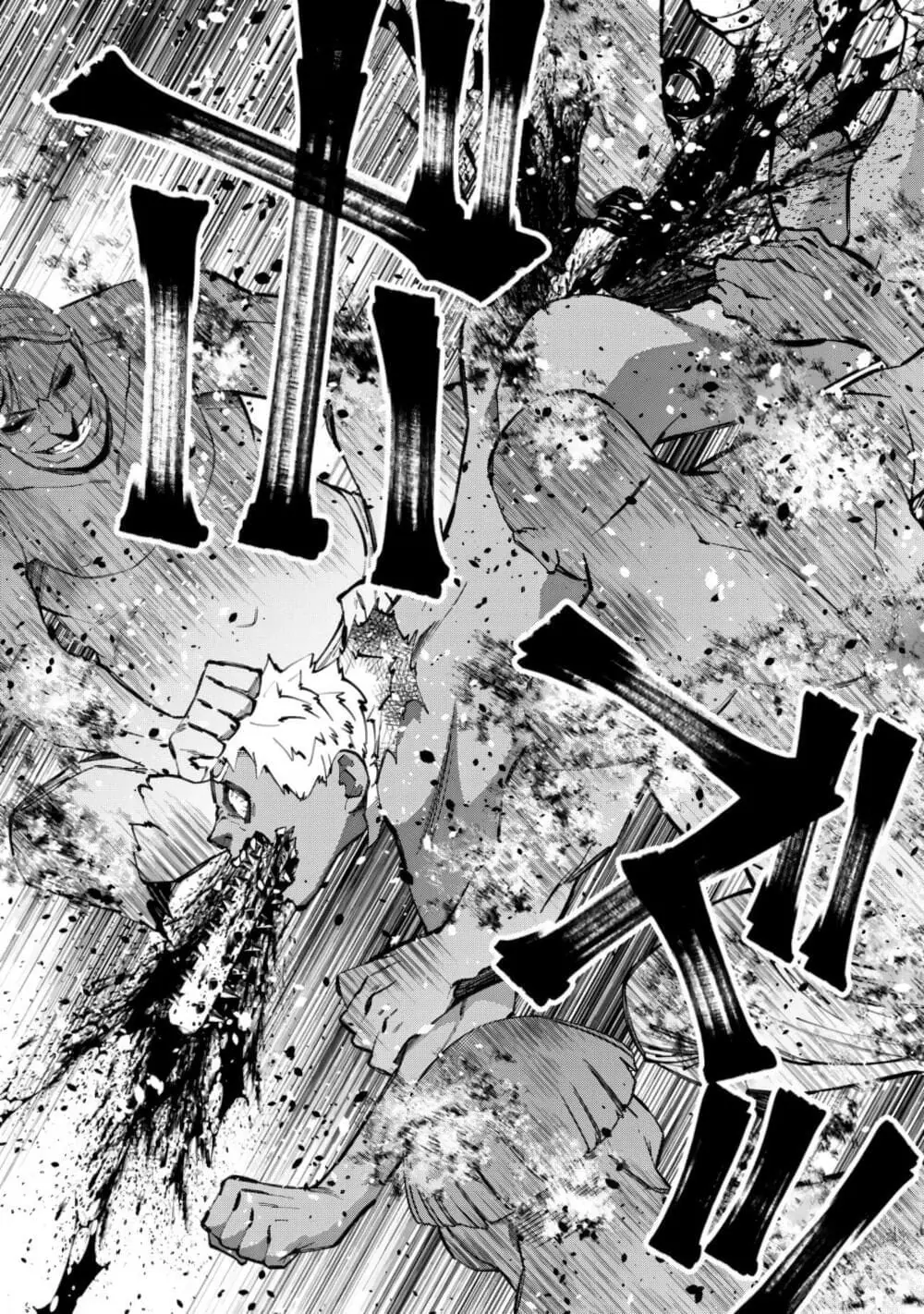 Sự Trỗi Dậy Của Anh Hùng Hắc Ám Chapter 49 - Trang 10