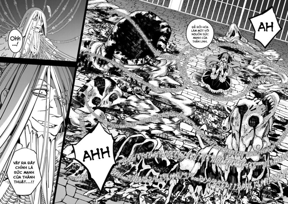 Sự Trỗi Dậy Của Anh Hùng Hắc Ám Chapter 55 - Trang 13
