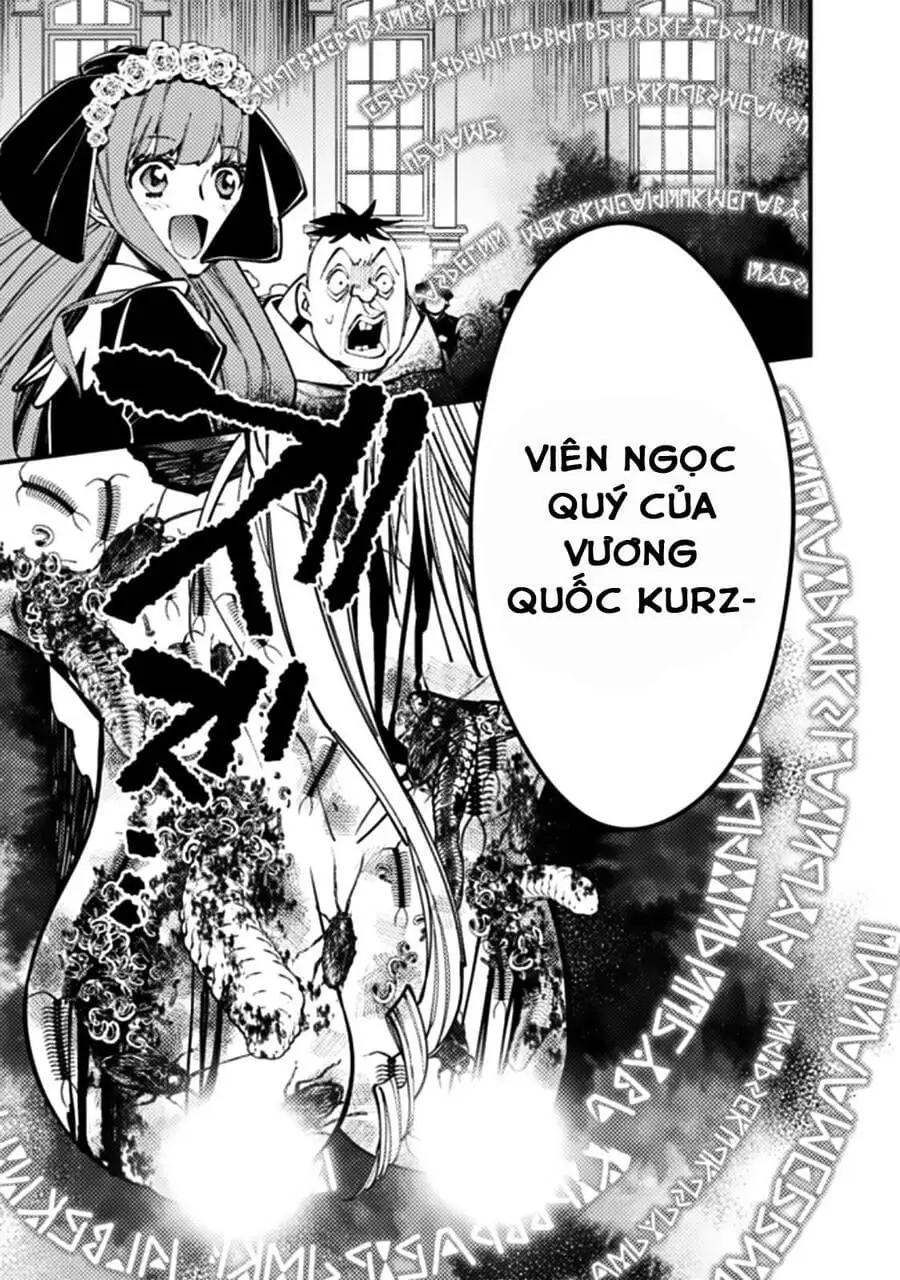 Sự Trỗi Dậy Của Anh Hùng Hắc Ám Chapter 58 - Trang 15