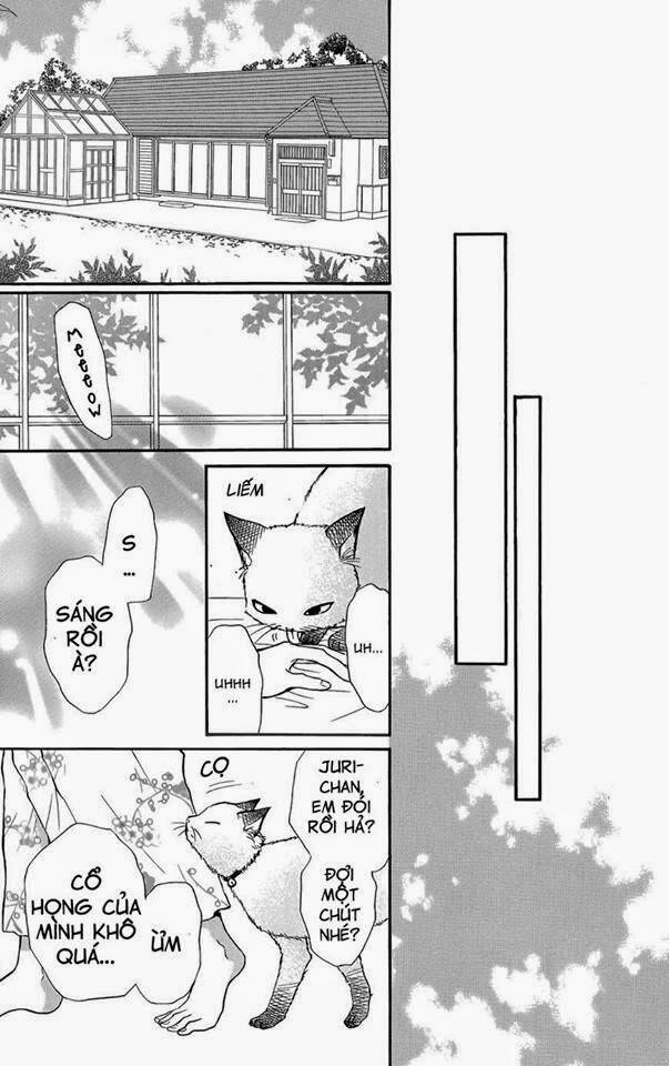Sumika Sumire Chapter 1 - Trang 43