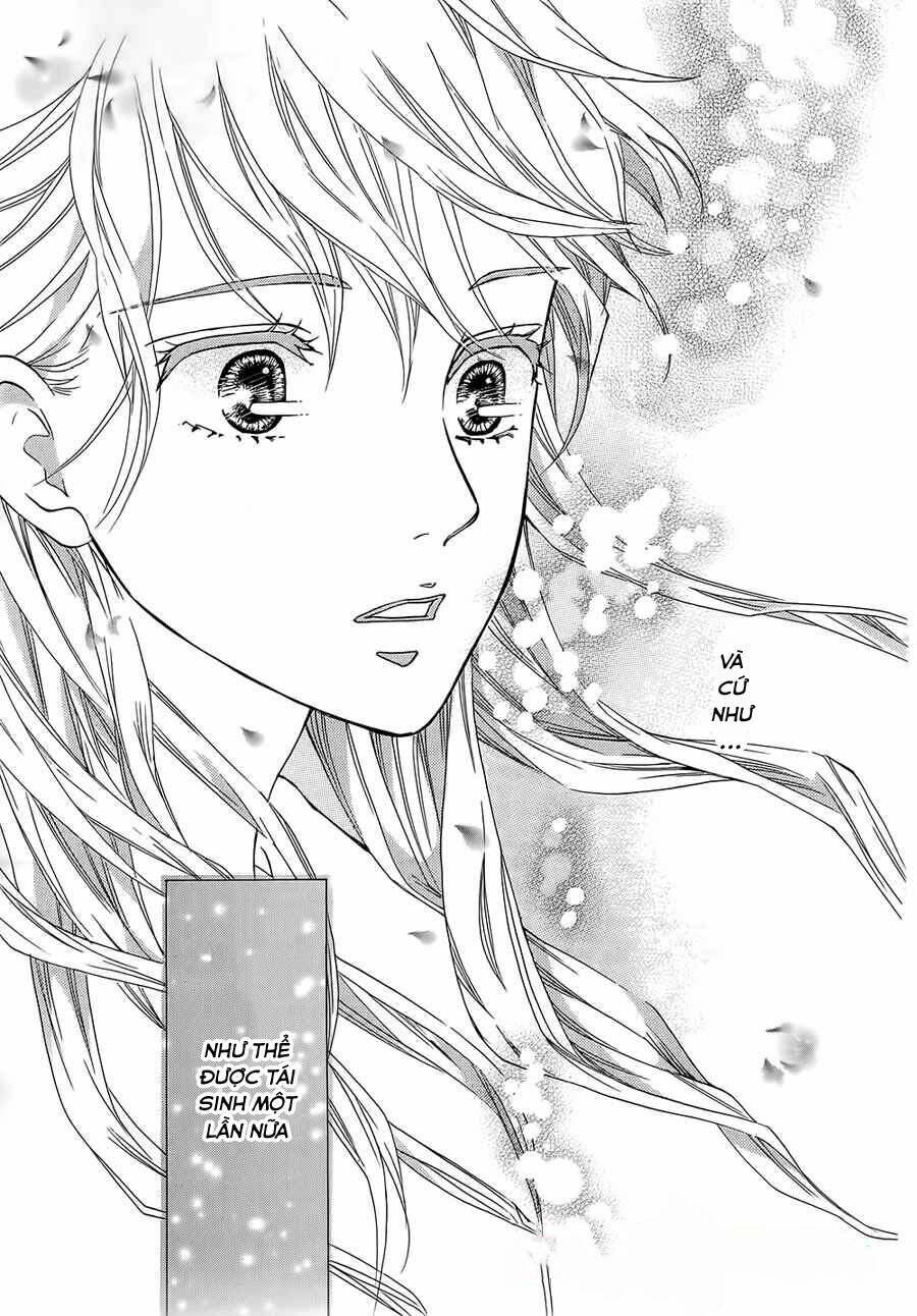 Sumika Sumire Chapter 12 - Trang 14