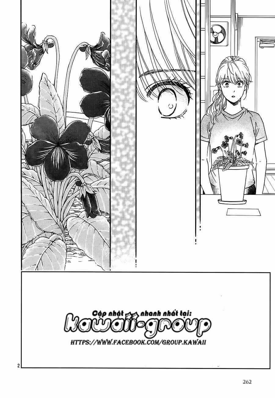 Sumika Sumire Chapter 35 - Trang 4