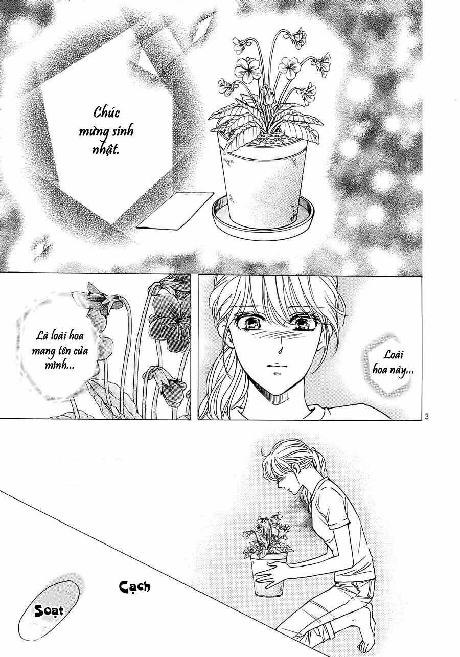 Sumika Sumire Chapter 35 - Trang 5