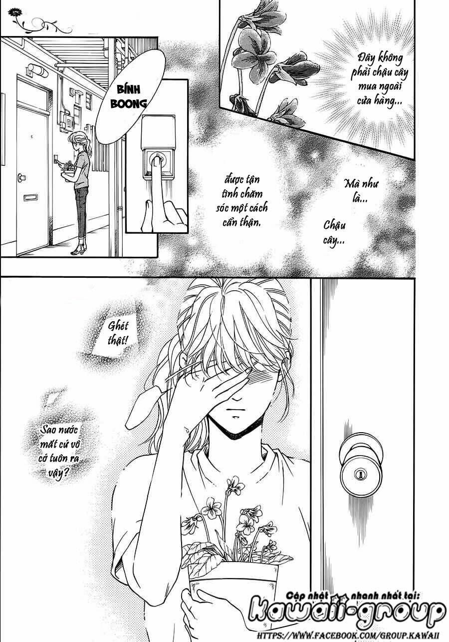 Sumika Sumire Chapter 35 - Trang 7