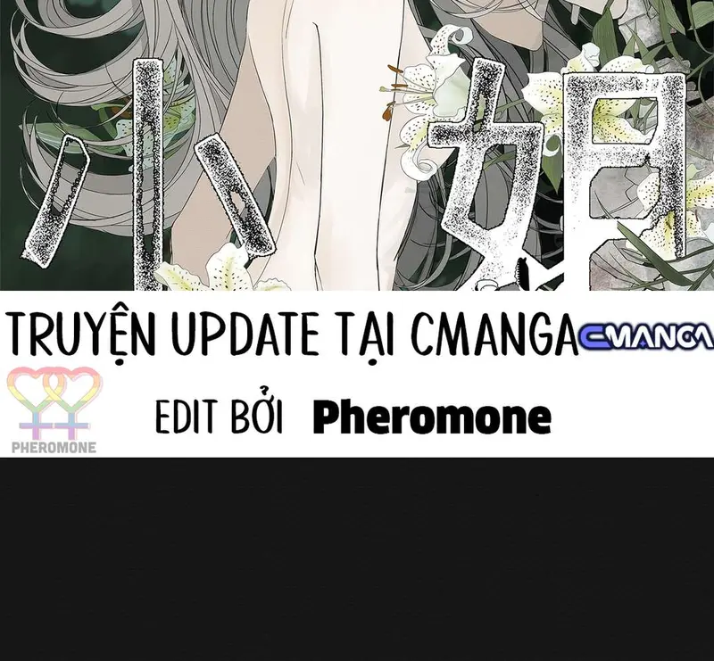 Tả Anh Tiểu Thư Chapter 11 - Trang 3