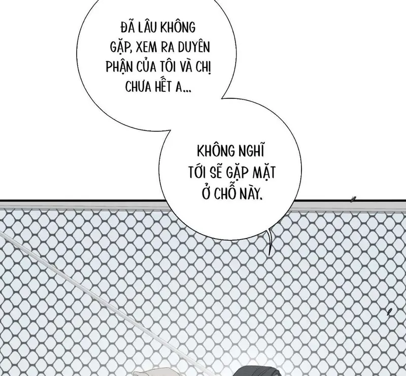 Tả Anh Tiểu Thư Chapter 11 - Trang 36