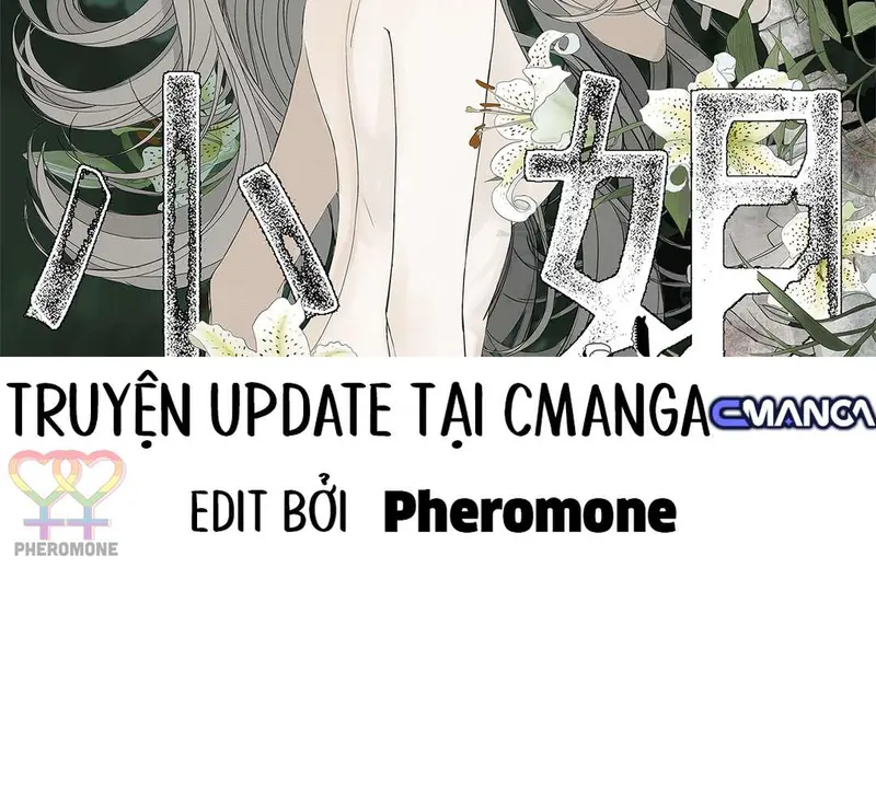 Tả Anh Tiểu Thư Chapter 13 - Trang 3