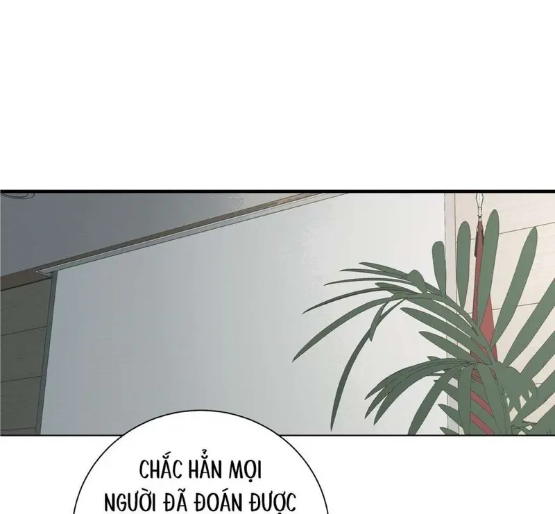 Tả Anh Tiểu Thư Chapter 13 - Trang 4