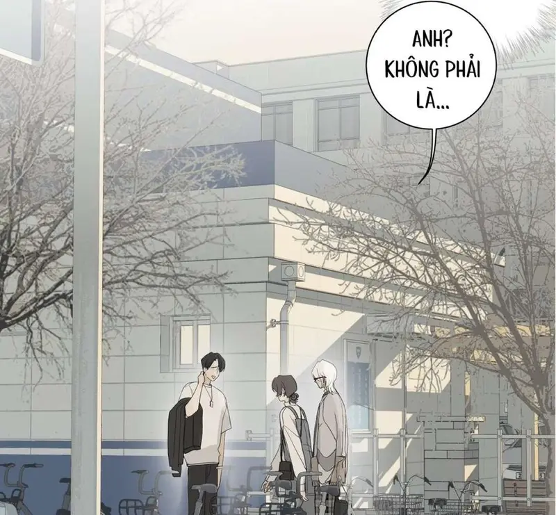 Tả Anh Tiểu Thư Chapter 13 - Trang 42