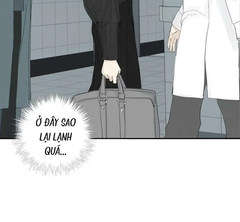 Tả Anh Tiểu Thư Chapter 15 - Trang 21