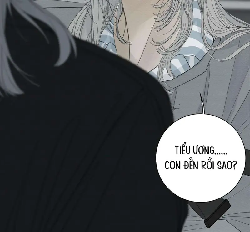 Tả Anh Tiểu Thư Chapter 17 - Trang 13