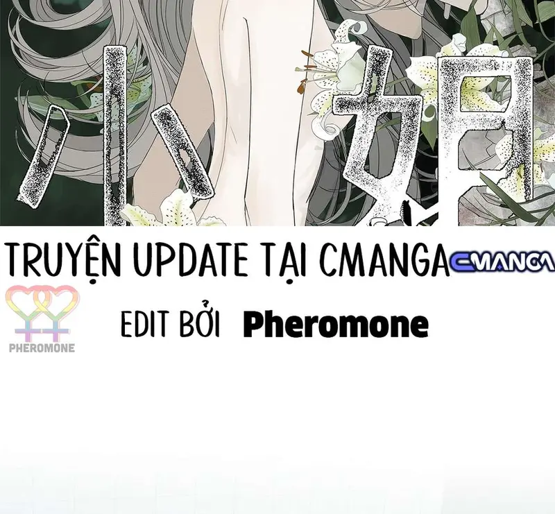 Tả Anh Tiểu Thư Chapter 17 - Trang 3