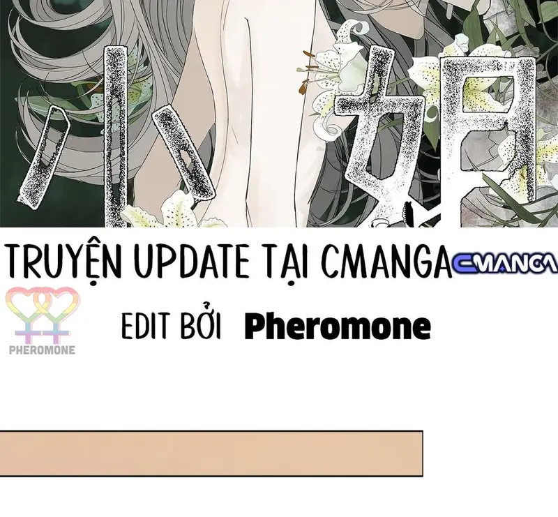 Tả Anh Tiểu Thư Chapter 19 - Trang 3