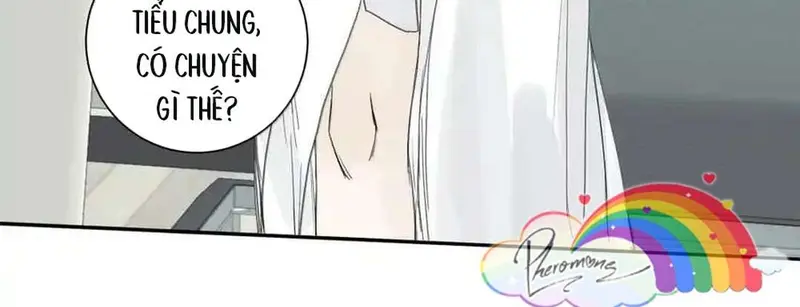 Tả Anh Tiểu Thư Chapter 22 - Trang 7