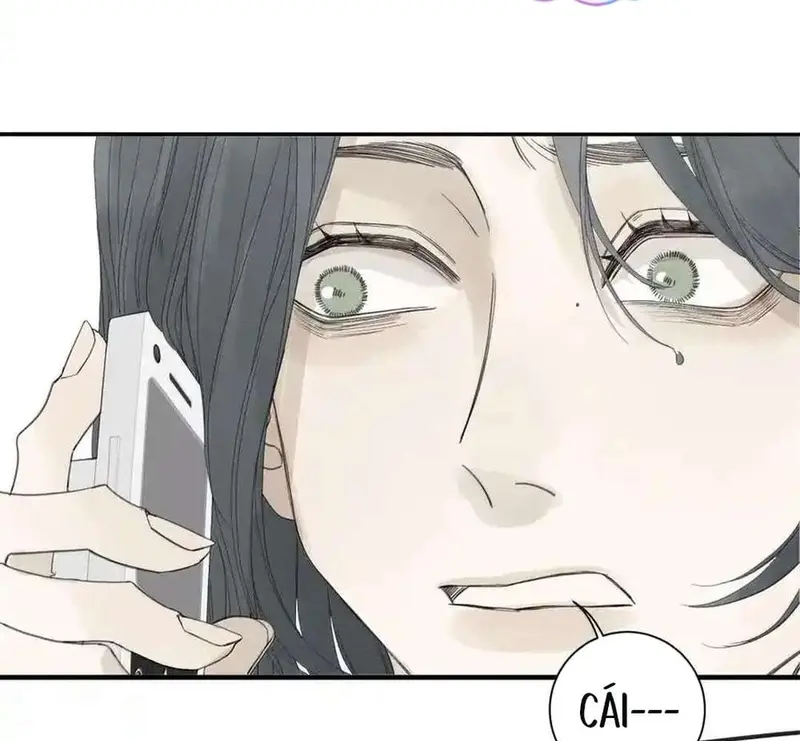 Tả Anh Tiểu Thư Chapter 22 - Trang 8