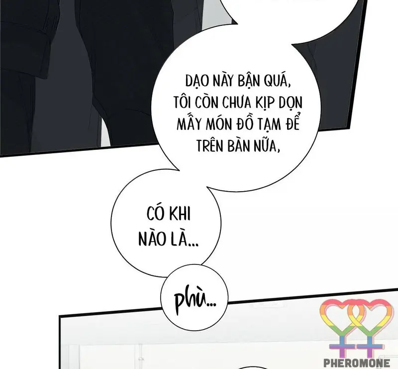 Tả Anh Tiểu Thư Chapter 26 - Trang 13